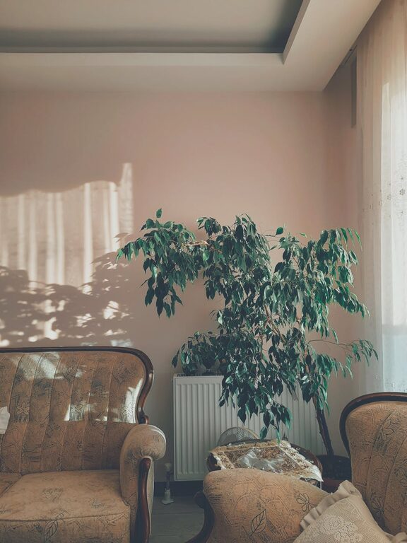 Simple Tips for Creating a Cozy and Inviting Home Atmosphere